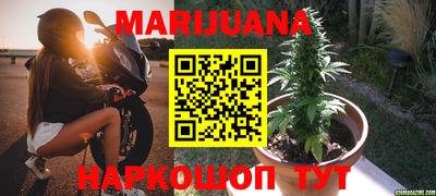 гидра Славянск-на-Кубани