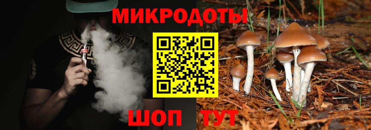 Галлюциногенные грибы Psilocybine cubensis Нижневартовск